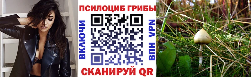 цена   Саки  Галлюциногенные грибы MAGIC MUSHROOMS 