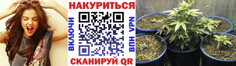 где купить даркнет Telegram Конопля OG Kush Саки